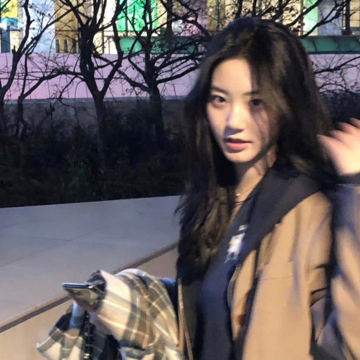 孤雏泪